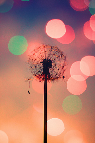 live your life!