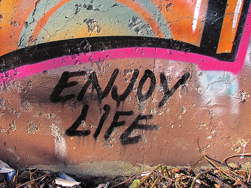 enjoy life