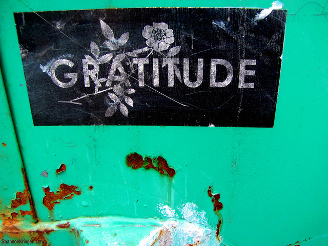 21 quotes on the power of gratitude