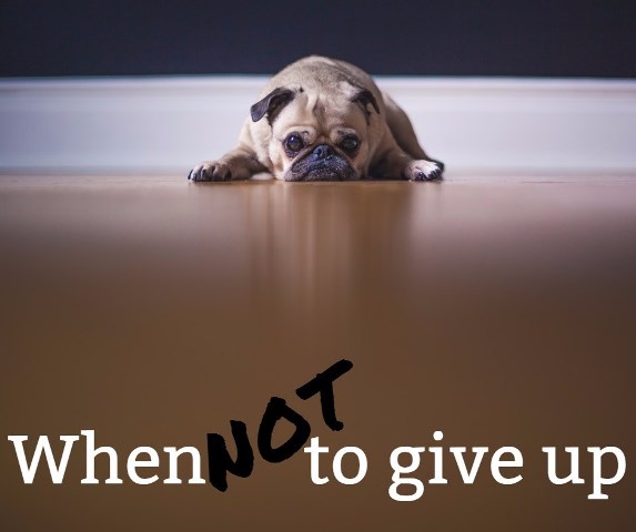 don't give up